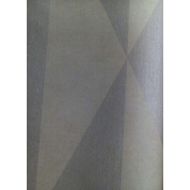 CARAT 2010 BROWN & SILVER $ DIAMOND