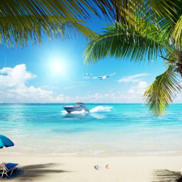 3D Tropical Island Palm Tree Beach Corridor Entrance Wall Mural – YST -034
