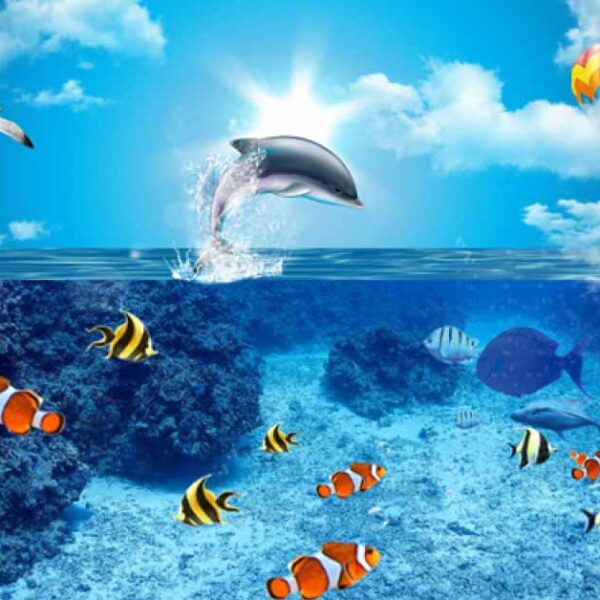 Aquatic Creatures Photomural – YST -009