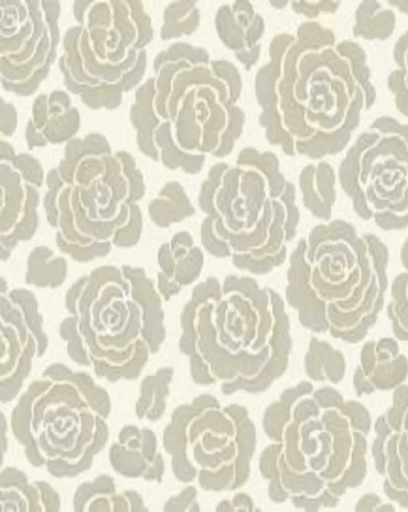 Aurora Exclusive Wallpapers -16303 Aurora Exclusive Wallpapers -16303