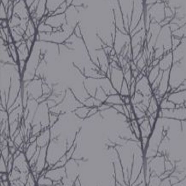 Aurora Exclusive Wallpapers 16708 1 600x600 - Aurora Exclusive Wallpapers -16708
