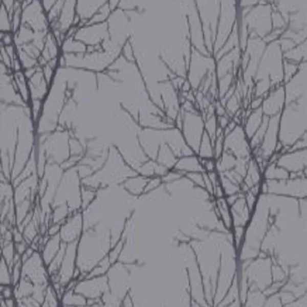 Aurora Exclusive Wallpapers -16708