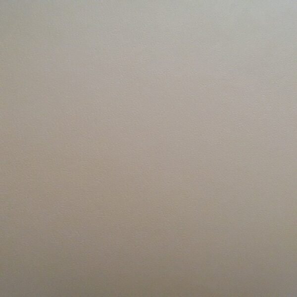 Car 159301 1000x1000 600x600 - Carat 2010 Pearl White Plain - 159301