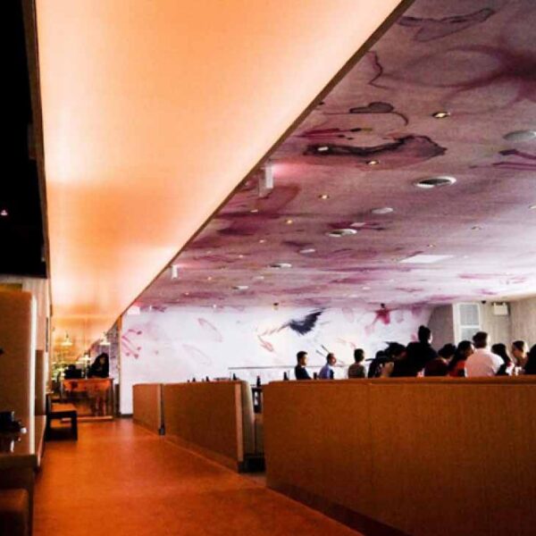 Commercial Ceilings