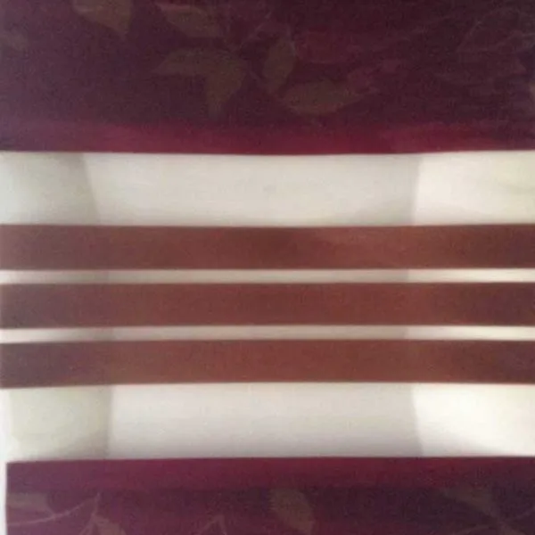 Day and Night Wine Floral Roller Blinds