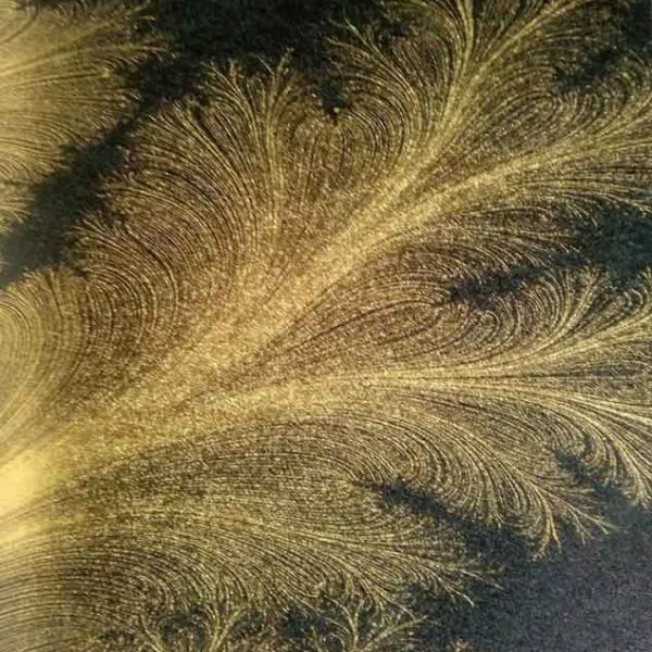 Feather Plant – 501202