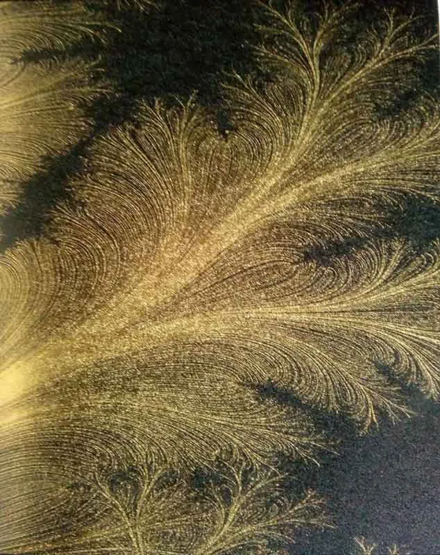 Feather Plant – 501202 Feather Plant – 501202