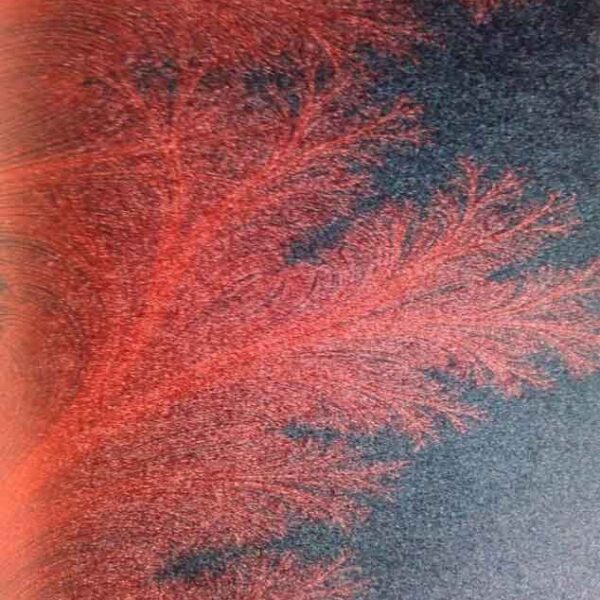 Feather Plant – 501205