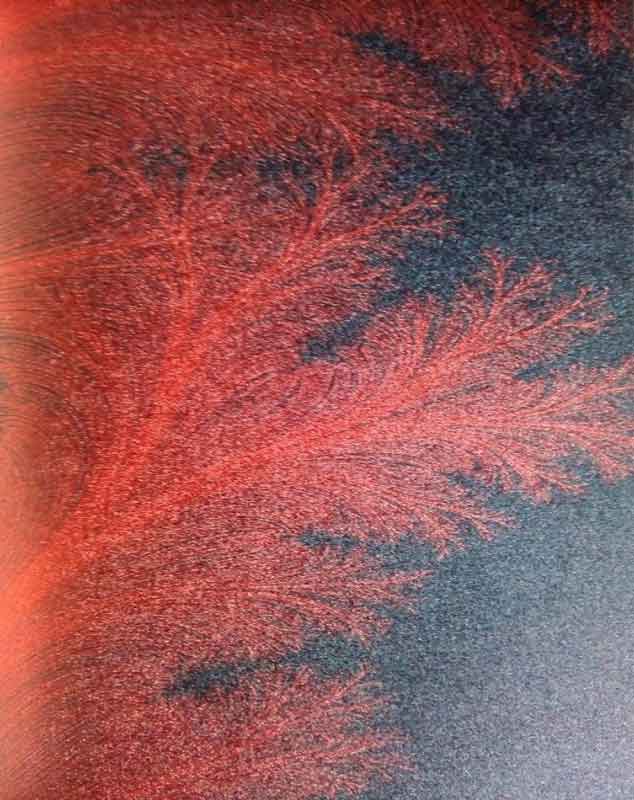 Feather Plant – 501205 Feather Plant – 501205