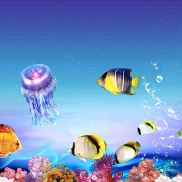 Galaxy Sea Creature Photomural – YST-010