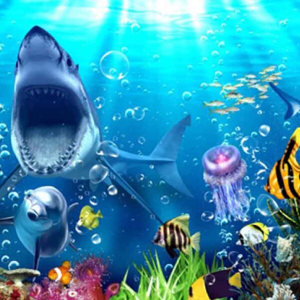 Galaxy Sea Creature Photomural – YST-013