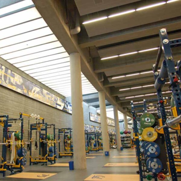 Gym ceilings 4