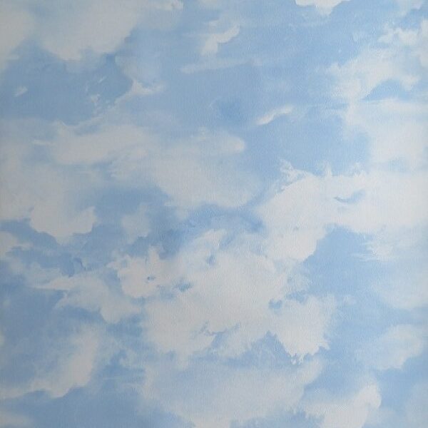 IMG 1705 1000x1000 600x600 - Nature Sky Wallpaper