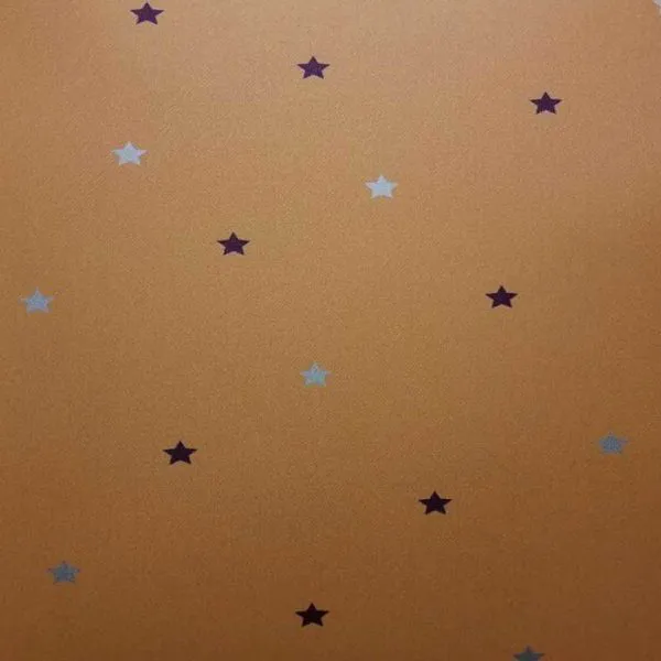Kiddies Star Design Wallpaper