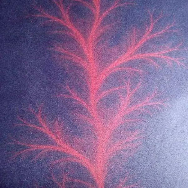 Kitai Black and Red Feather Wallpaper – ST0023