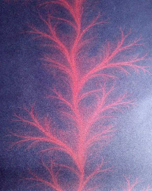 Kitai Black and Red Feather Wallpaper – ST0023 Kitai Black and Red Feather Wallpaper – ST0023
