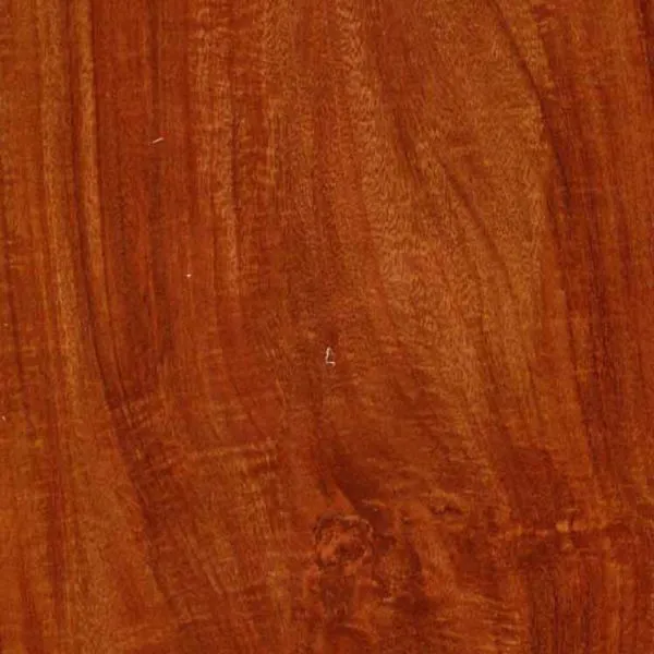 Laminate Flooring