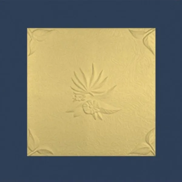 Natura Beige Polystyrene Ceiling Tile