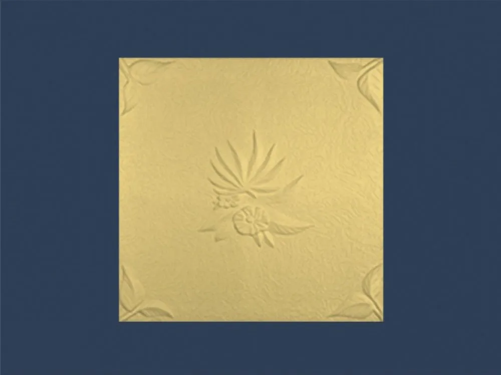 Natura Beige Polystyrene Ceiling Tile Natura Beige Polystyrene Ceiling Tile