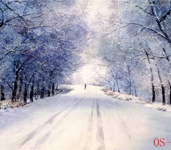 Nature Photo Mural-OS-39