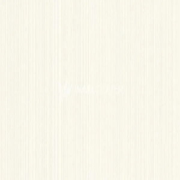 P+S International Exclusive Wallpapers Multicolor Writeups