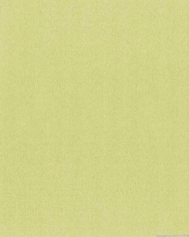 P+S International Exclusive Wallpapers – Lemon Green P+S International Exclusive Wallpapers – Lemon Green