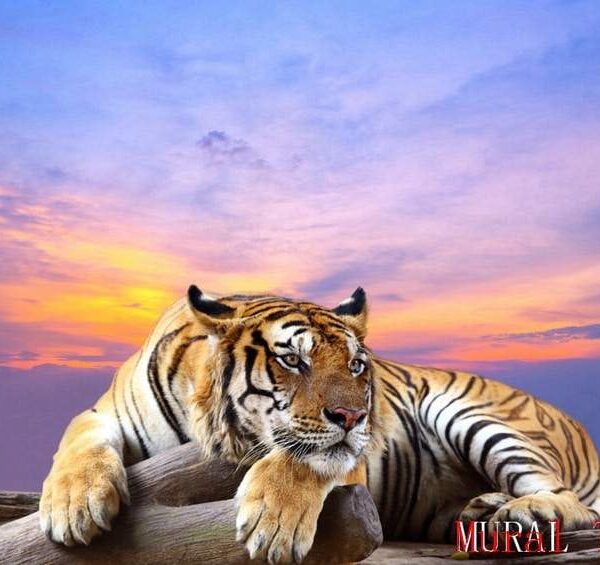 Tiger Design Wall Mural -T-09