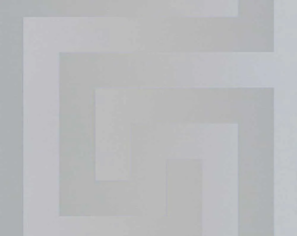 Versace Design Silver Wallpaper – 935235 Versace Design Silver Wallpaper – 935235